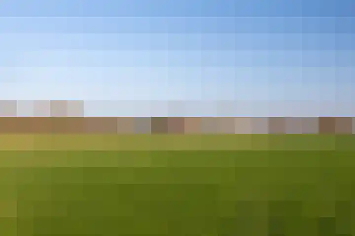 Verlengde Molenstraat 12 Winssen thumbnail 63