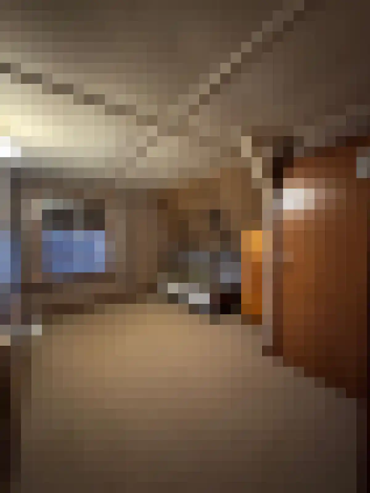 Verlengde Molenstraat 4 IJzendijke thumbnail 15