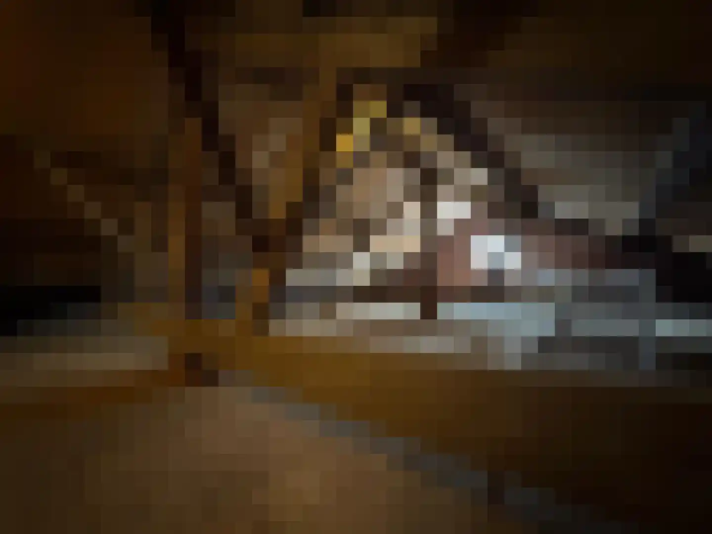 Verlengde Molenstraat 4 IJzendijke thumbnail 22