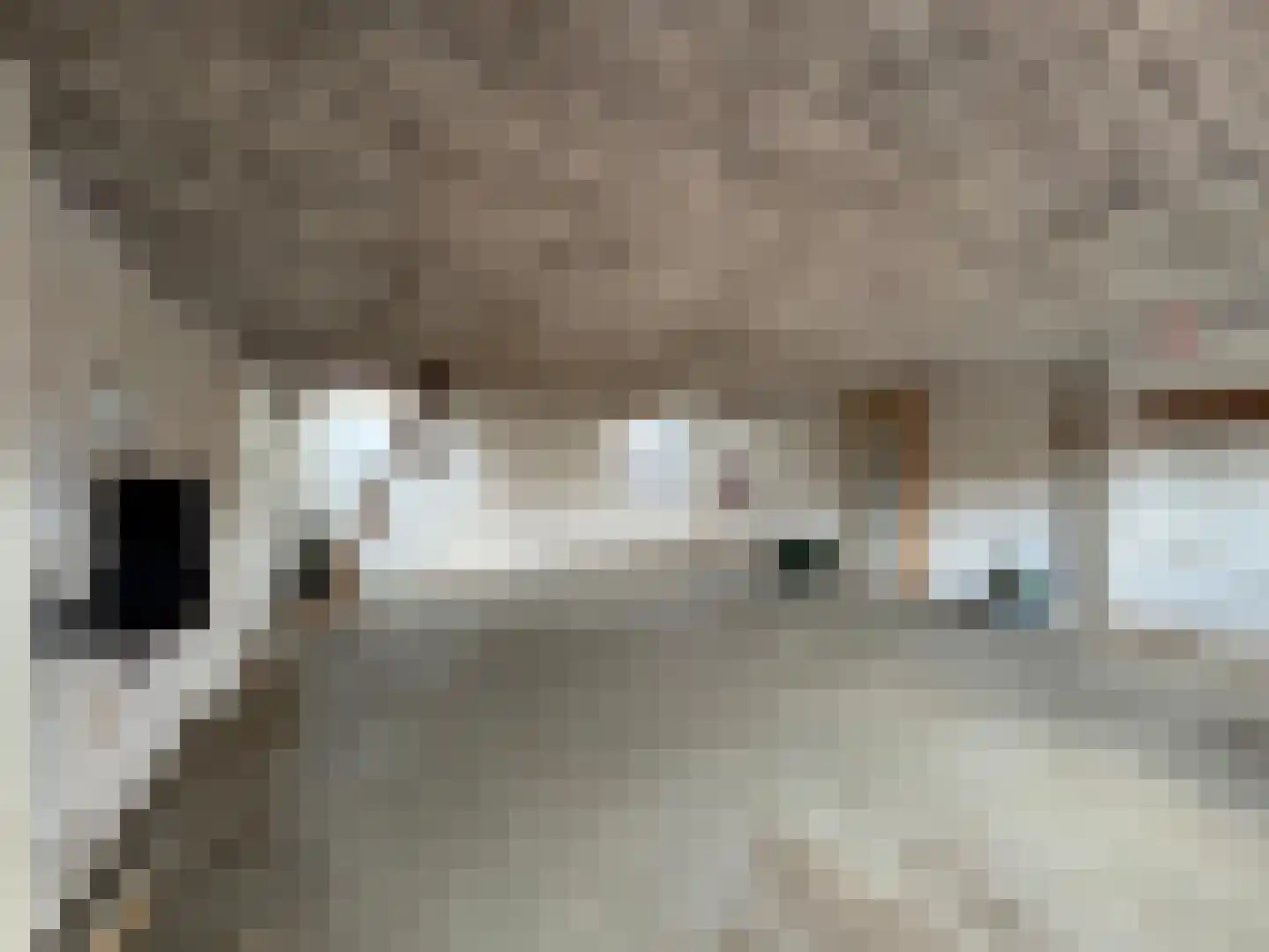 Verlengde Molenstraat 4 IJzendijke thumbnail 24