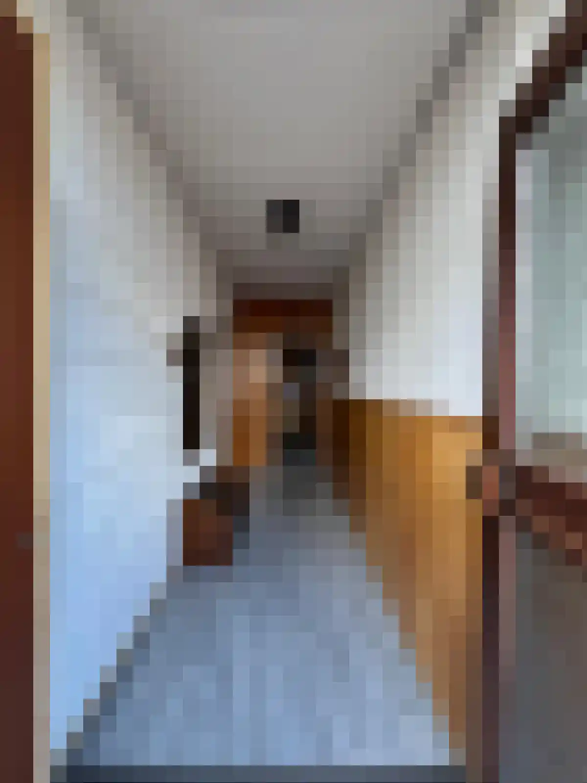 Verlengde Molenstraat 4 IJzendijke thumbnail 4