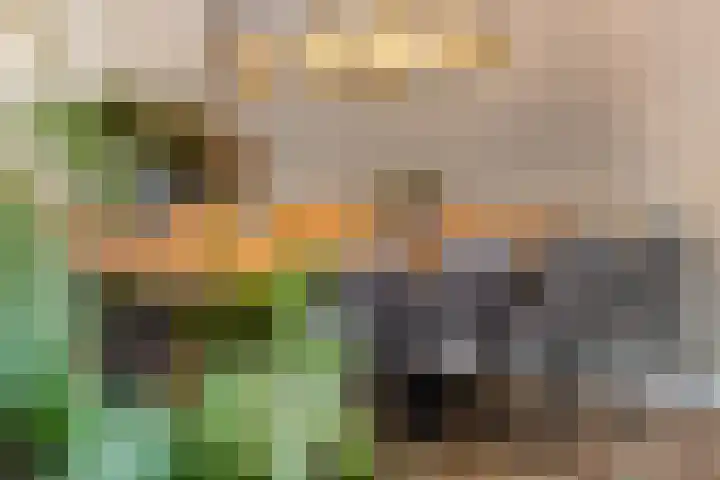 Verlengde Moutlaan 11 Bemmel thumbnail 10