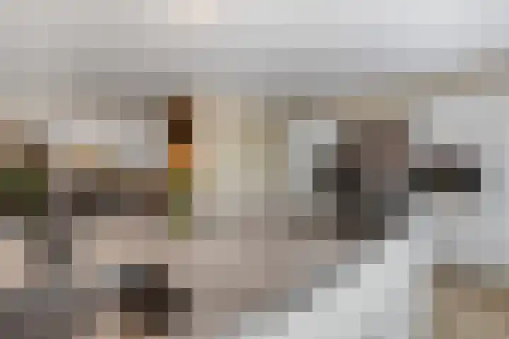 Verlengde Moutlaan 11 Bemmel thumbnail 13
