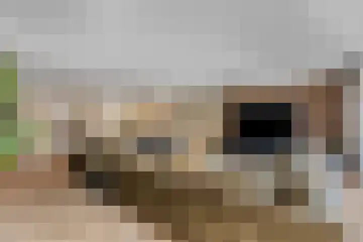 Verlengde Moutlaan 11 Bemmel thumbnail 22