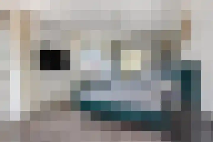 Verlengde Moutlaan 11 Bemmel thumbnail 27