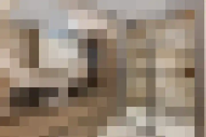 Verlengde Moutlaan 11 Bemmel foto 3