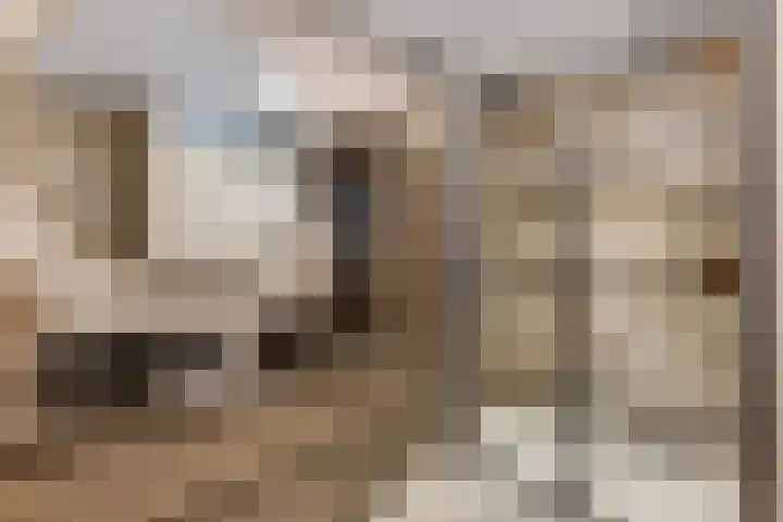 Verlengde Moutlaan 11 Bemmel thumbnail 32