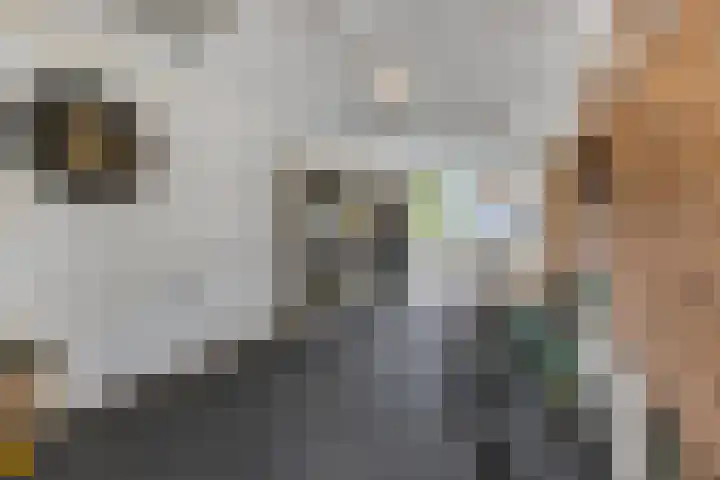 Verlengde Moutlaan 11 Bemmel thumbnail 41