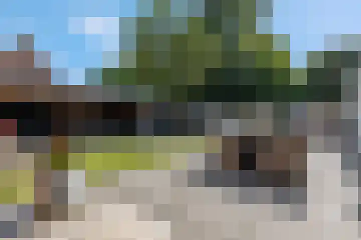 Verlengde Moutlaan 11 Bemmel thumbnail 43