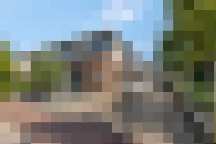 Verlengde Moutlaan 11 Bemmel thumbnail 5
