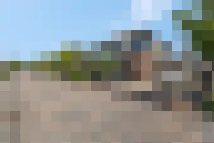 Verlengde Moutlaan 11 Bemmel thumbnail 50