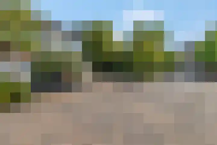 Verlengde Moutlaan 11 Bemmel thumbnail 51