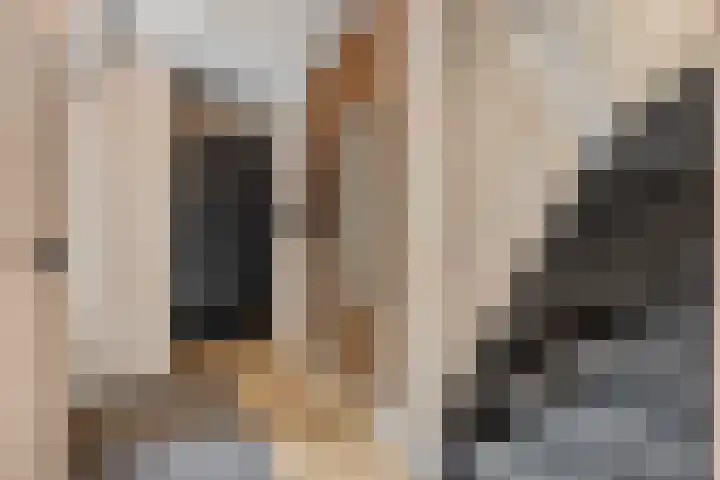 Verlengde Moutlaan 11 Bemmel thumbnail 6