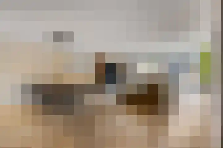Verlengde Moutlaan 11 Bemmel thumbnail 8