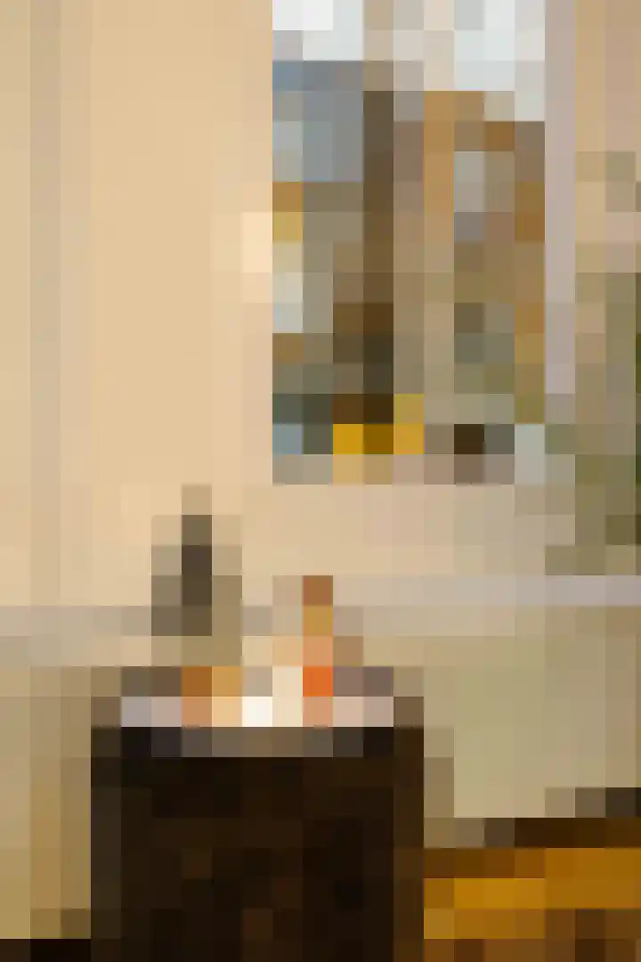 Verlengde Nieuwstraat 1 Groningen thumbnail 15