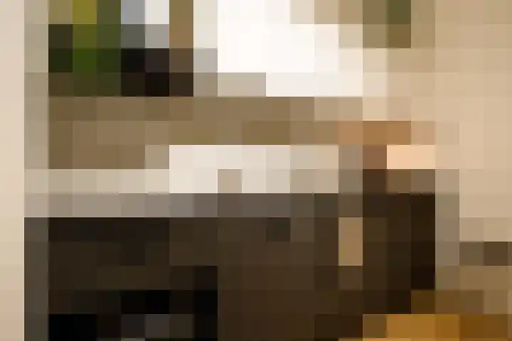 Verlengde Nieuwstraat 1 Groningen thumbnail 19