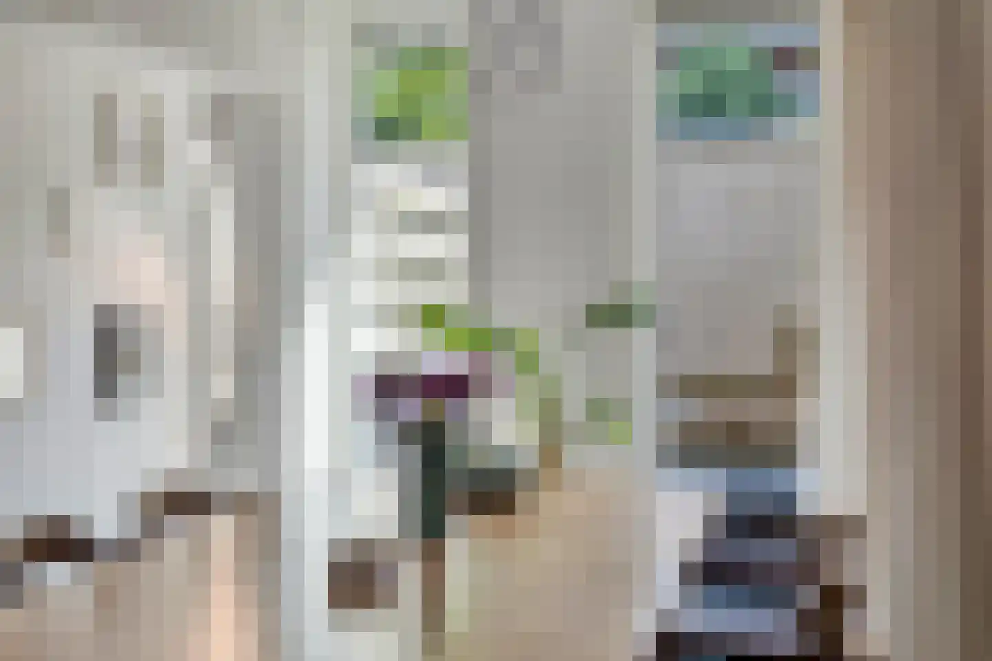 Verlengde Nieuwstraat 20 Groningen thumbnail 14