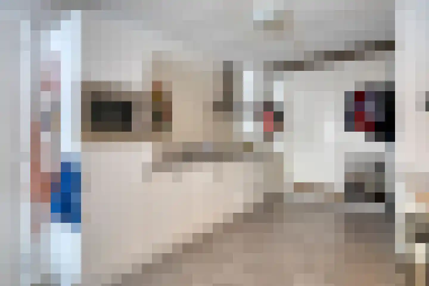 Verlengde Nieuwstraat 20 Groningen thumbnail 22