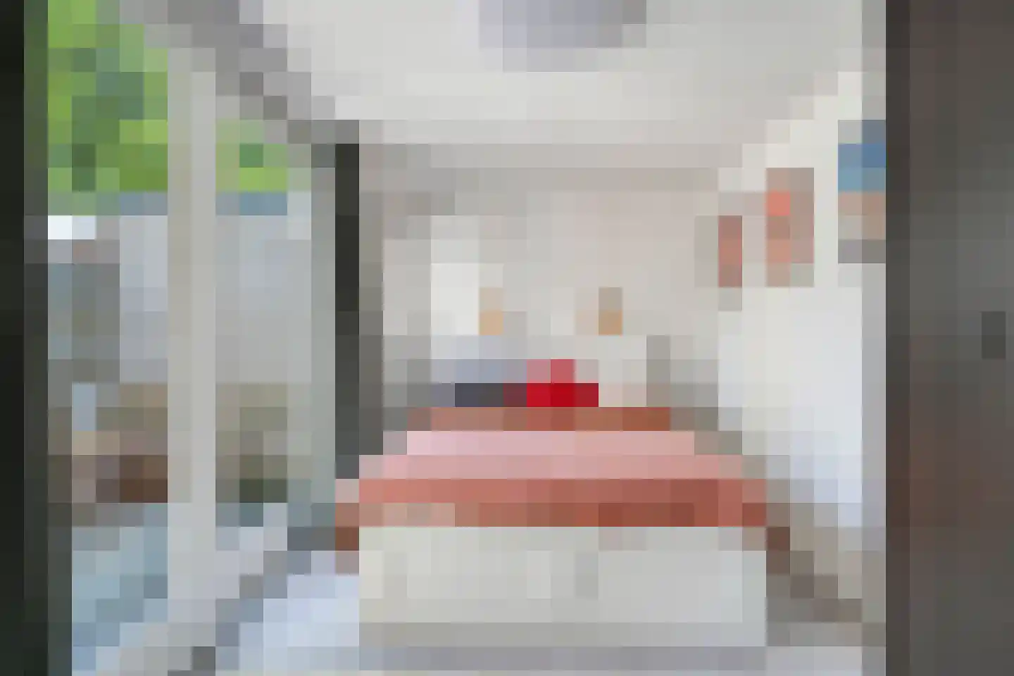 Verlengde Nieuwstraat 20 Groningen thumbnail 24