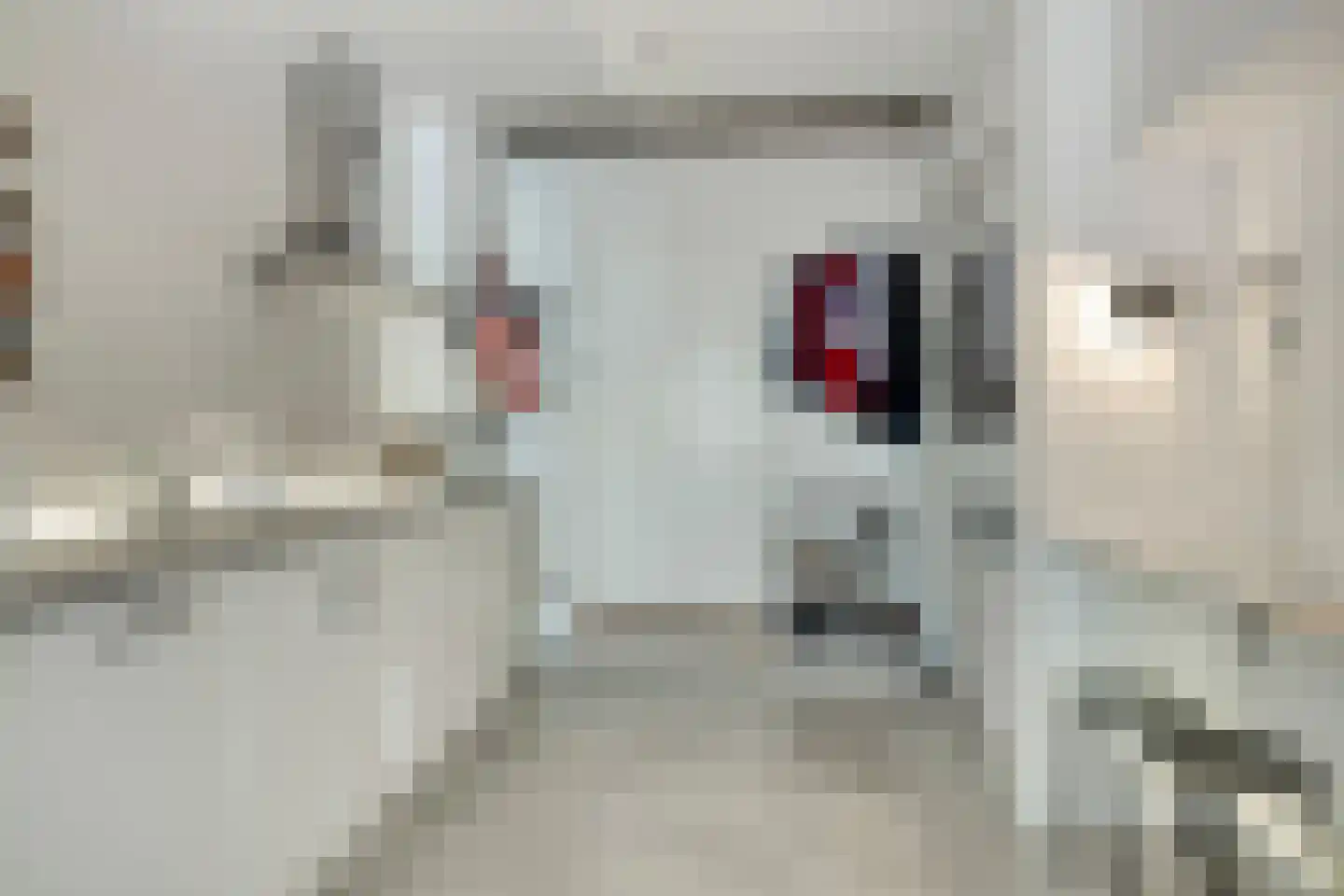 Verlengde Nieuwstraat 20 Groningen thumbnail 7
