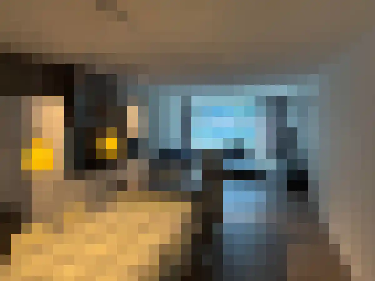 Verlengde Nieuwstraat 205 Rotterdam thumbnail 5