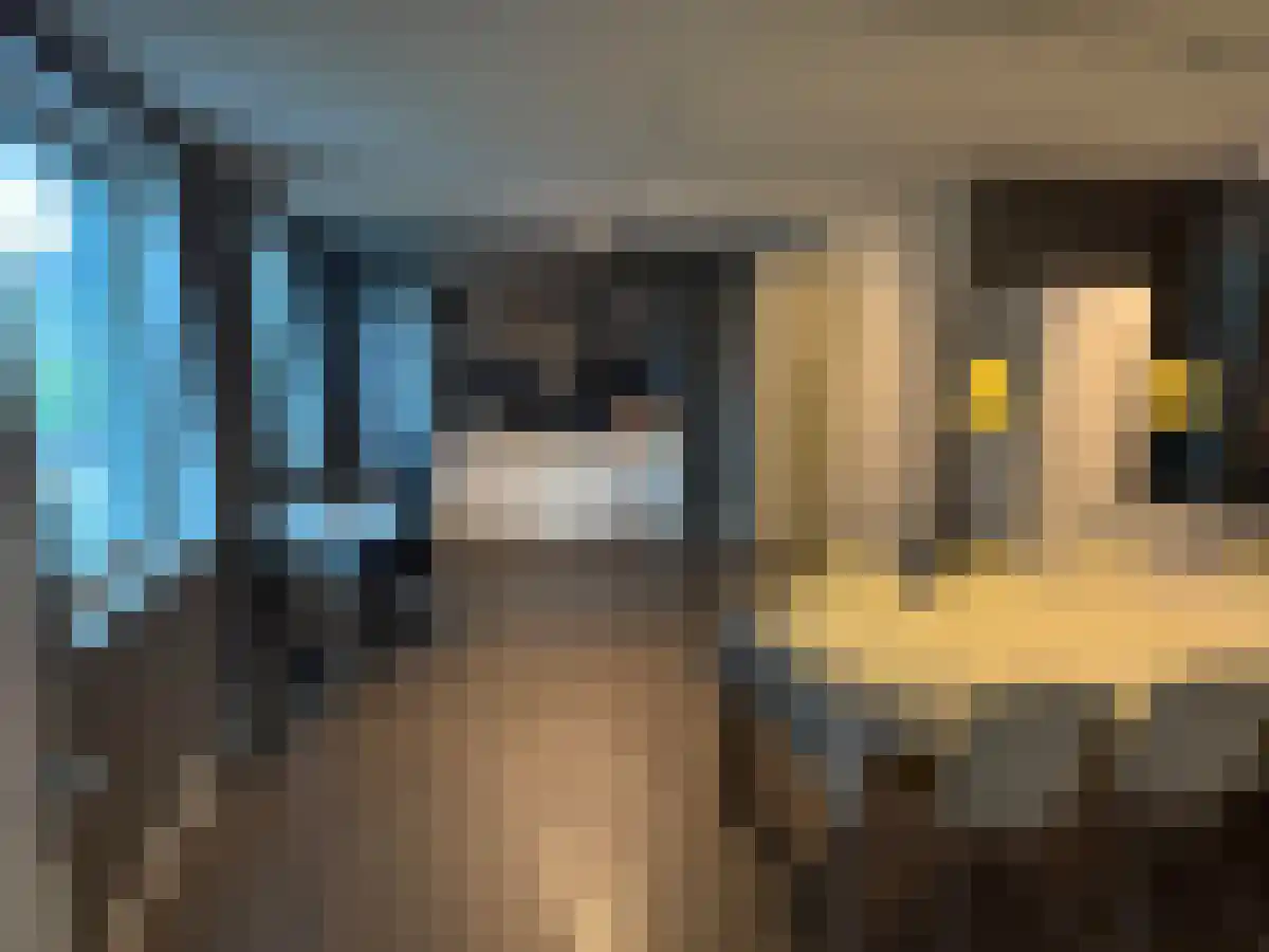 Verlengde Nieuwstraat 205 Rotterdam thumbnail 6