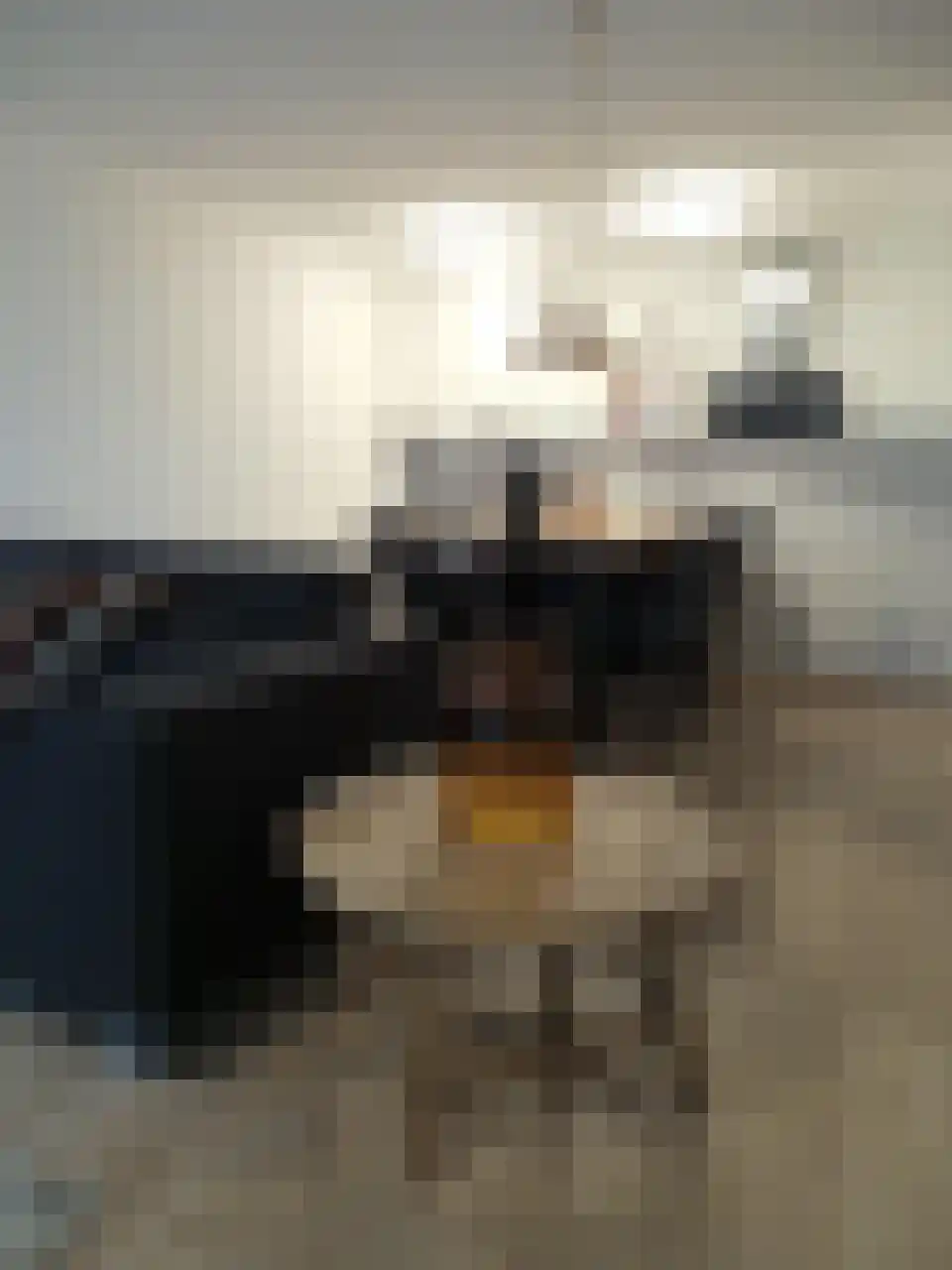 Verlengde Nieuwstraat 21 Rotterdam thumbnail 4