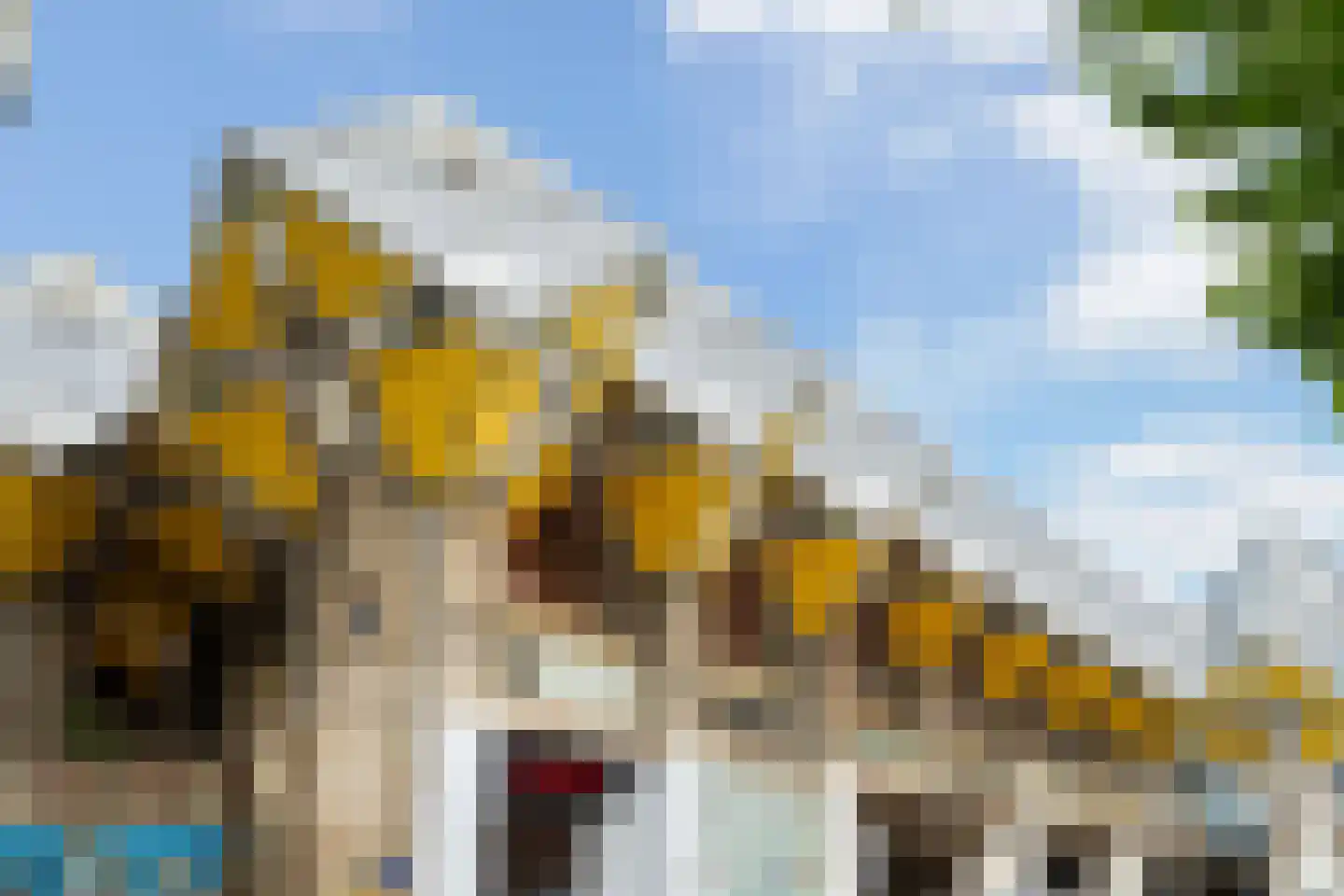 Verlengde Nieuwstraat 211 Rotterdam thumbnail 53