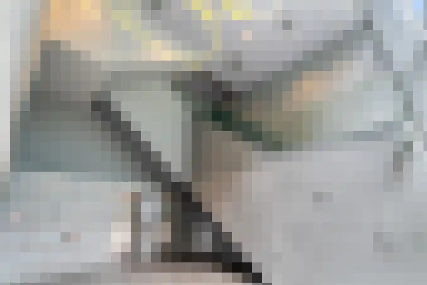 Verlengde Nieuwstraat 211 Rotterdam thumbnail 6