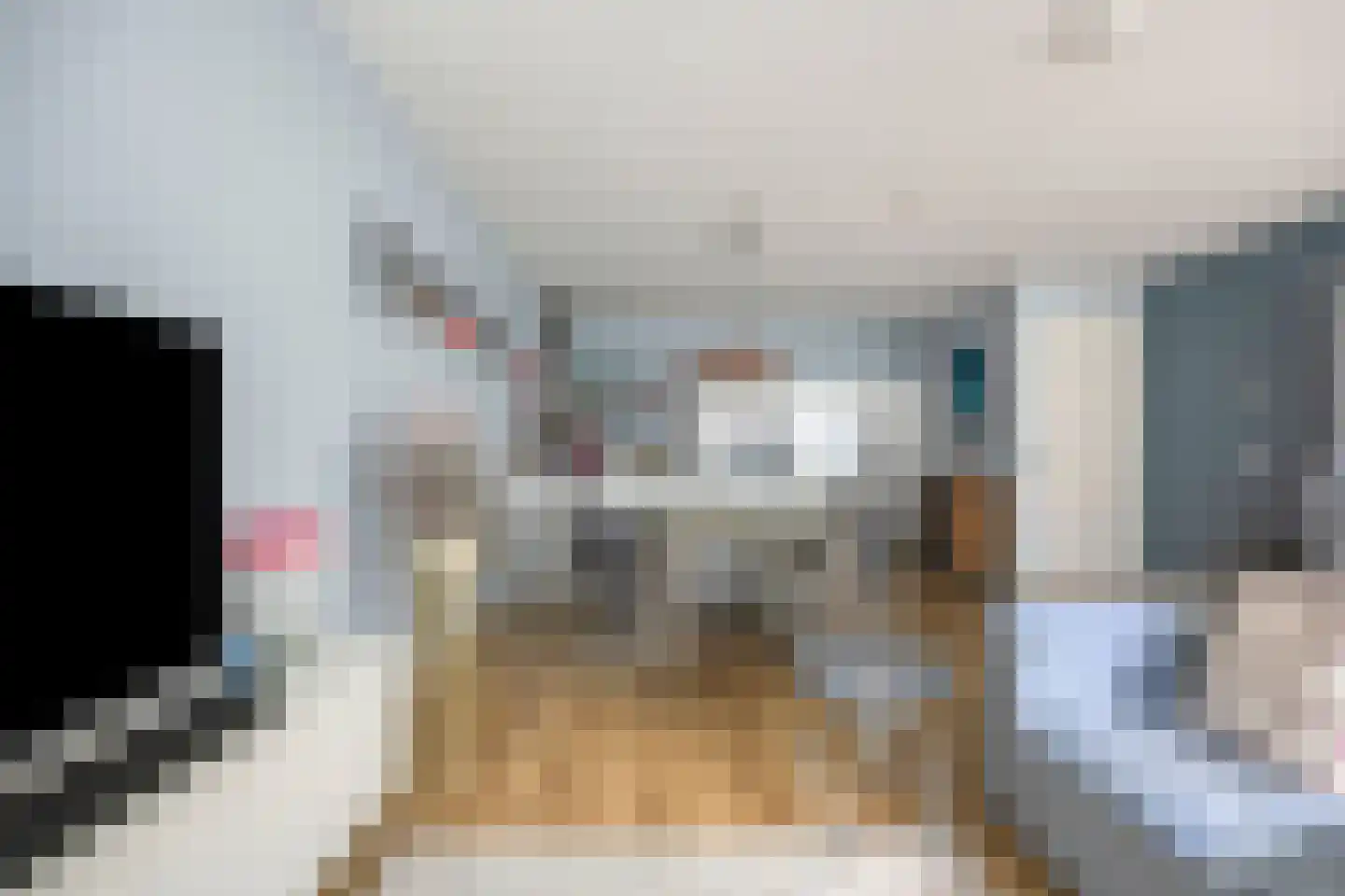 Verlengde Nieuwstraat 219 Rotterdam thumbnail 18