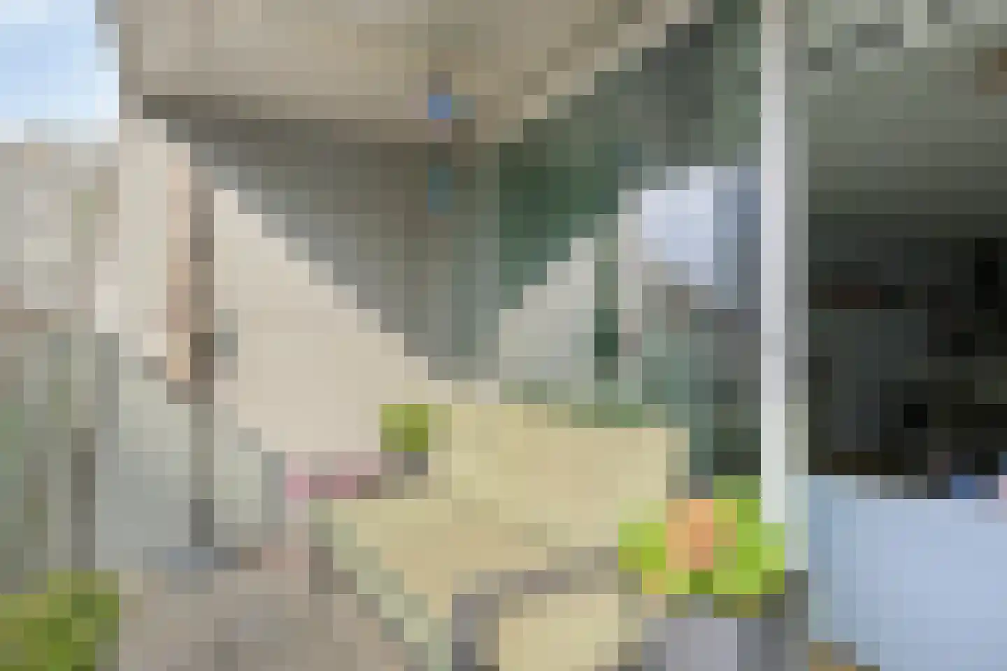 Verlengde Nieuwstraat 219 Rotterdam thumbnail 25