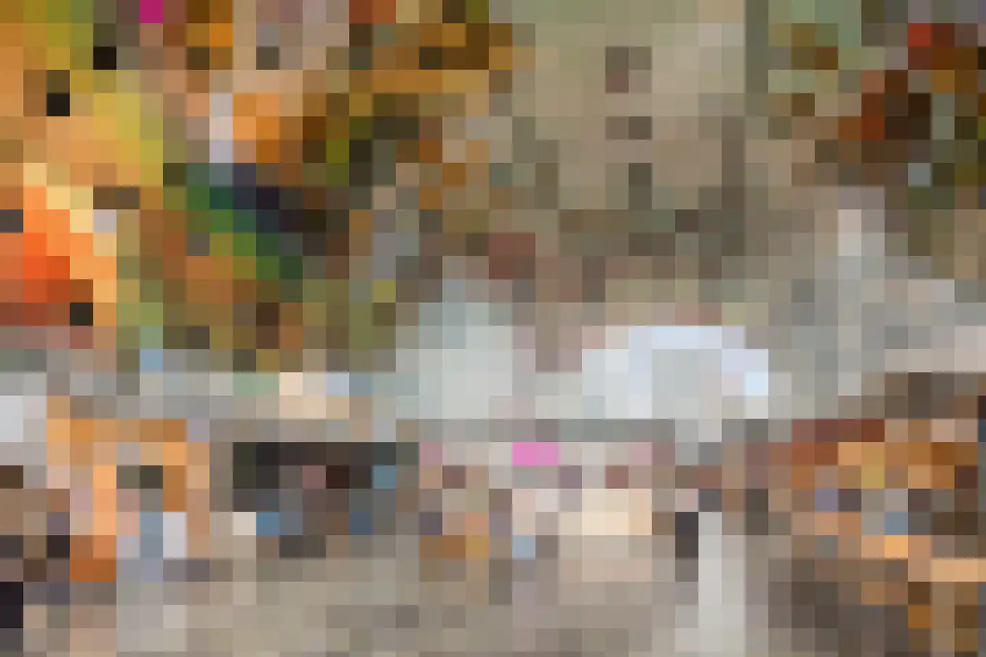 Verlengde Nieuwstraat 219 Rotterdam thumbnail 33