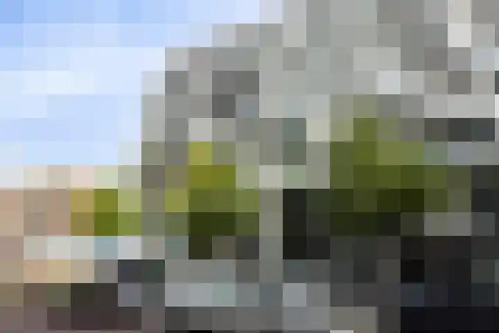 Verlengde Nieuwstraat 259 Rotterdam thumbnail 4
