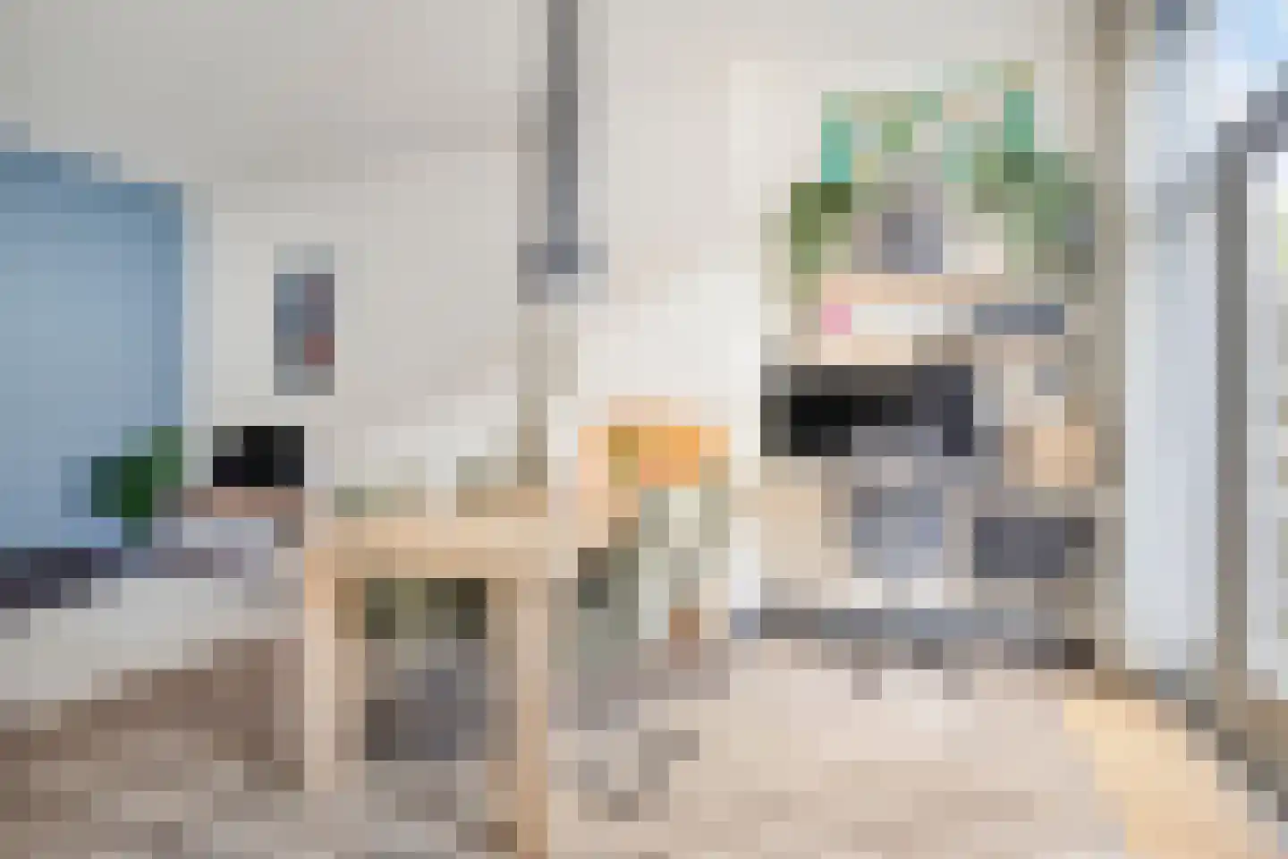 Verlengde Nieuwstraat 30 Groningen thumbnail 16