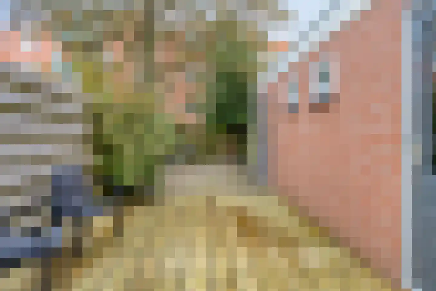 Verlengde Nieuwstraat 30 Groningen thumbnail 28