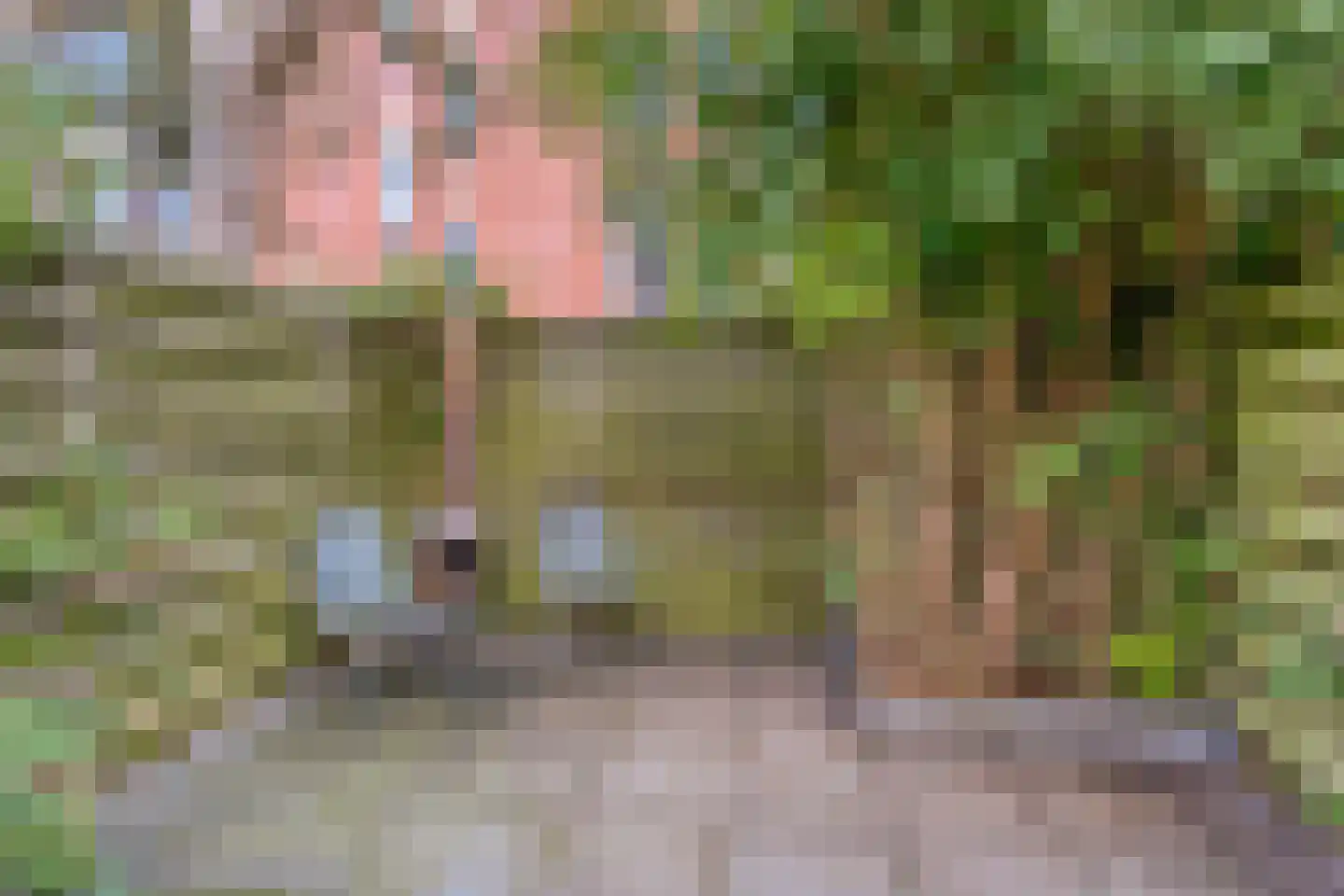 Verlengde Nieuwstraat 30 Groningen thumbnail 29