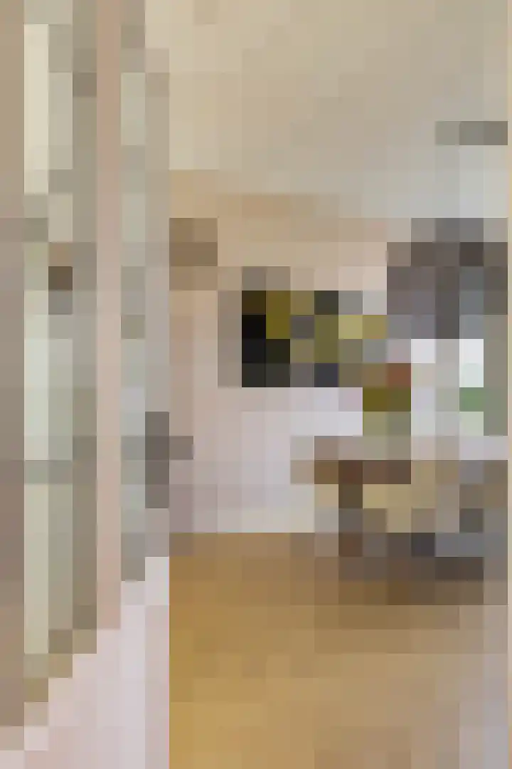Verlengde Nieuwstraat 34 a Groningen thumbnail 12