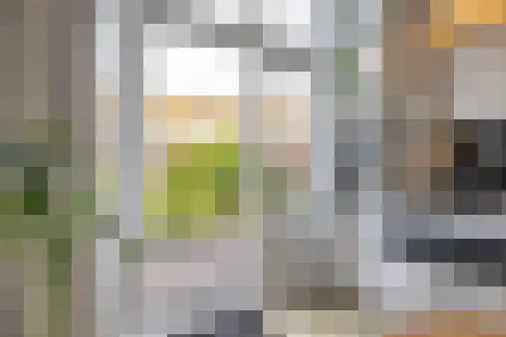 Verlengde Nieuwstraat 34 a Groningen thumbnail 27