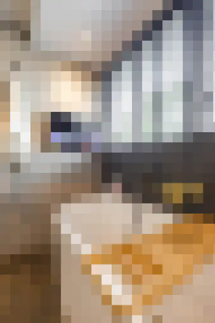Verlengde Nieuwstraat 34 a Groningen thumbnail 39