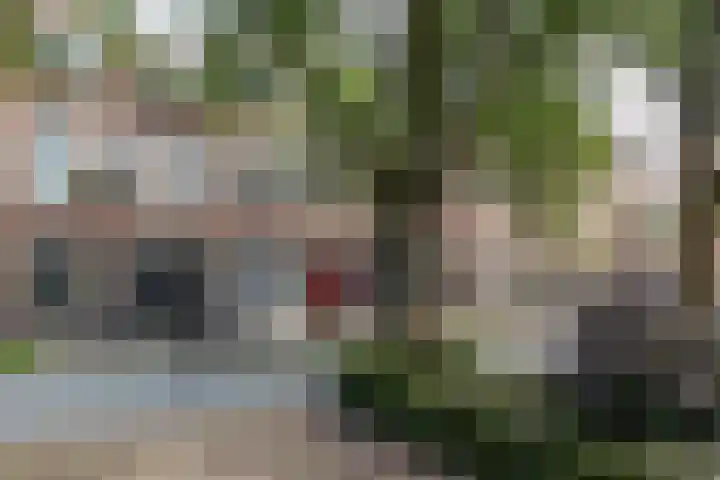 Verlengde Nieuwstraat 34 a Groningen thumbnail 5