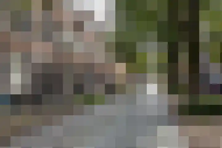 Verlengde Nieuwstraat 34 a Groningen thumbnail 54