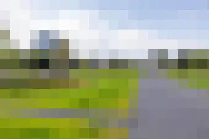 Verlengde Nieuwstraat 34 a Groningen thumbnail 56