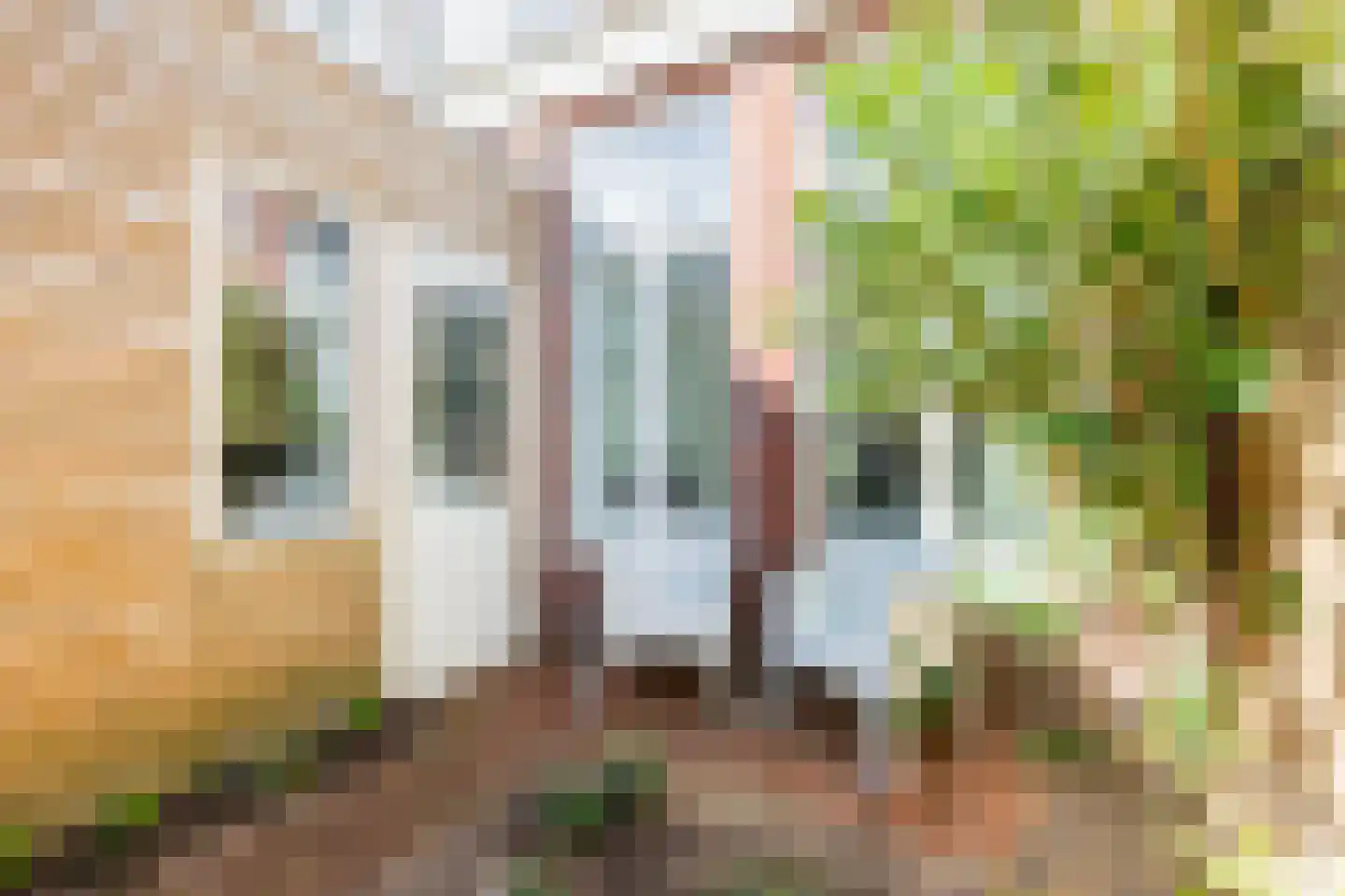 Verlengde Nieuwstraat 40 Groningen thumbnail 29