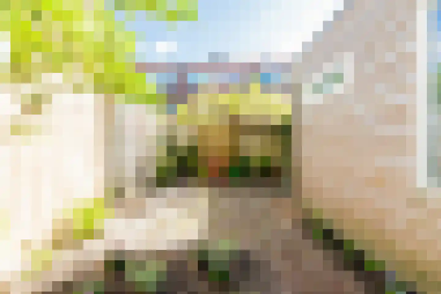 Verlengde Nieuwstraat 40 Groningen thumbnail 4