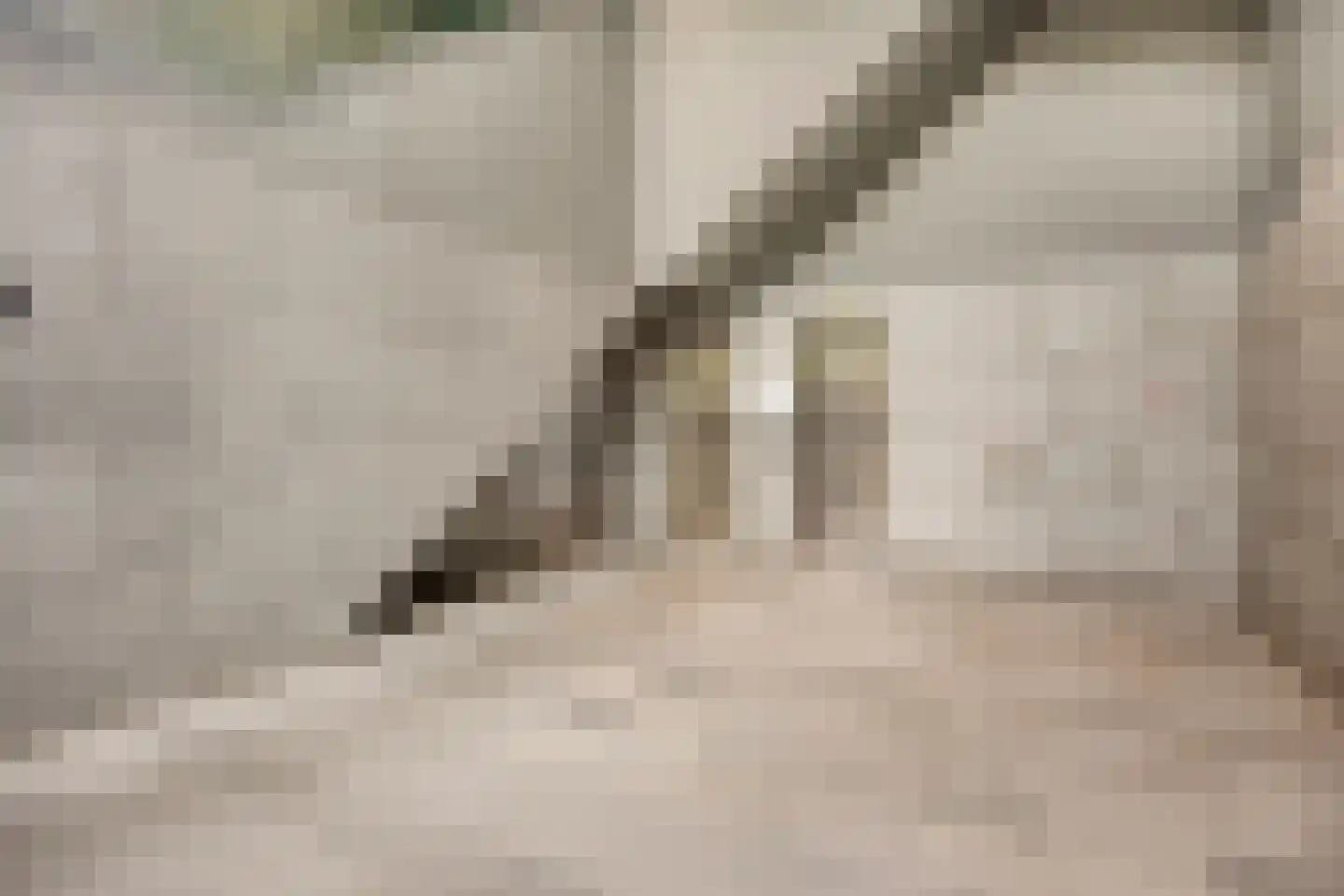 Verlengde Nieuwstraat 67 Rotterdam thumbnail 8