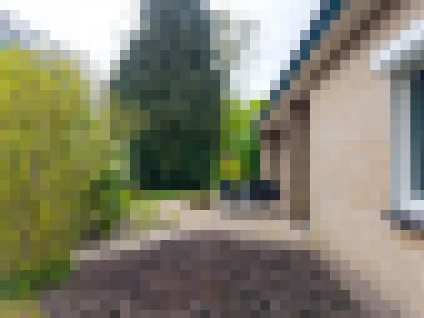 Verlengde Noordenveldweg 2 Vries thumbnail 10