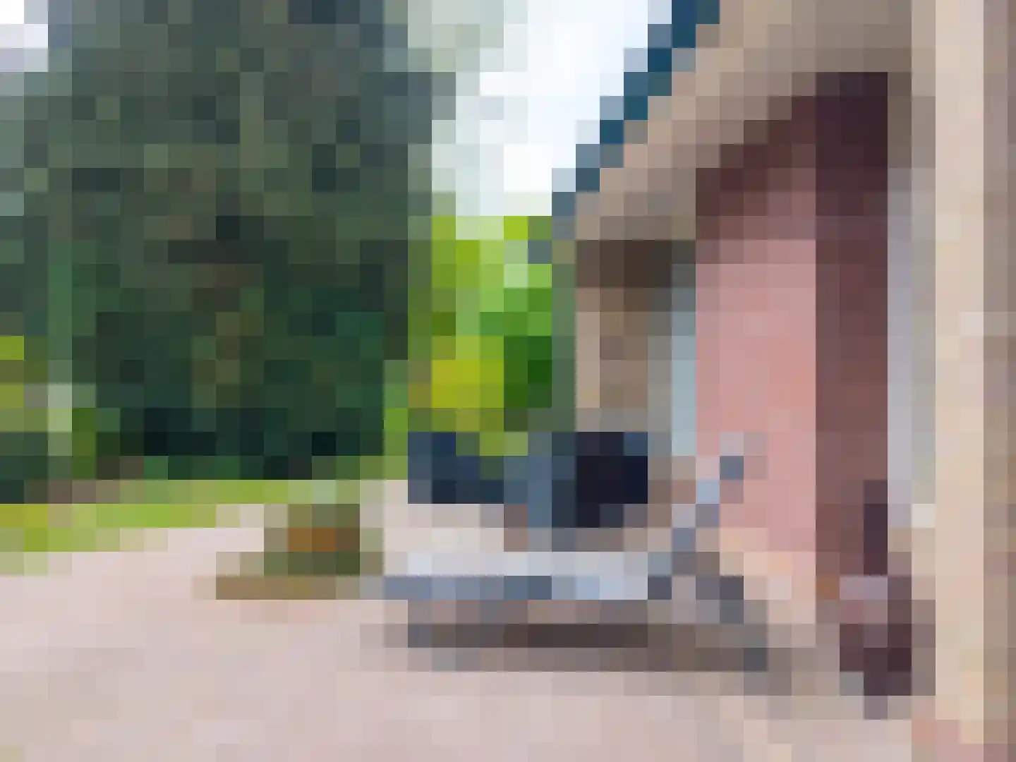 Verlengde Noordenveldweg 2 Vries thumbnail 11