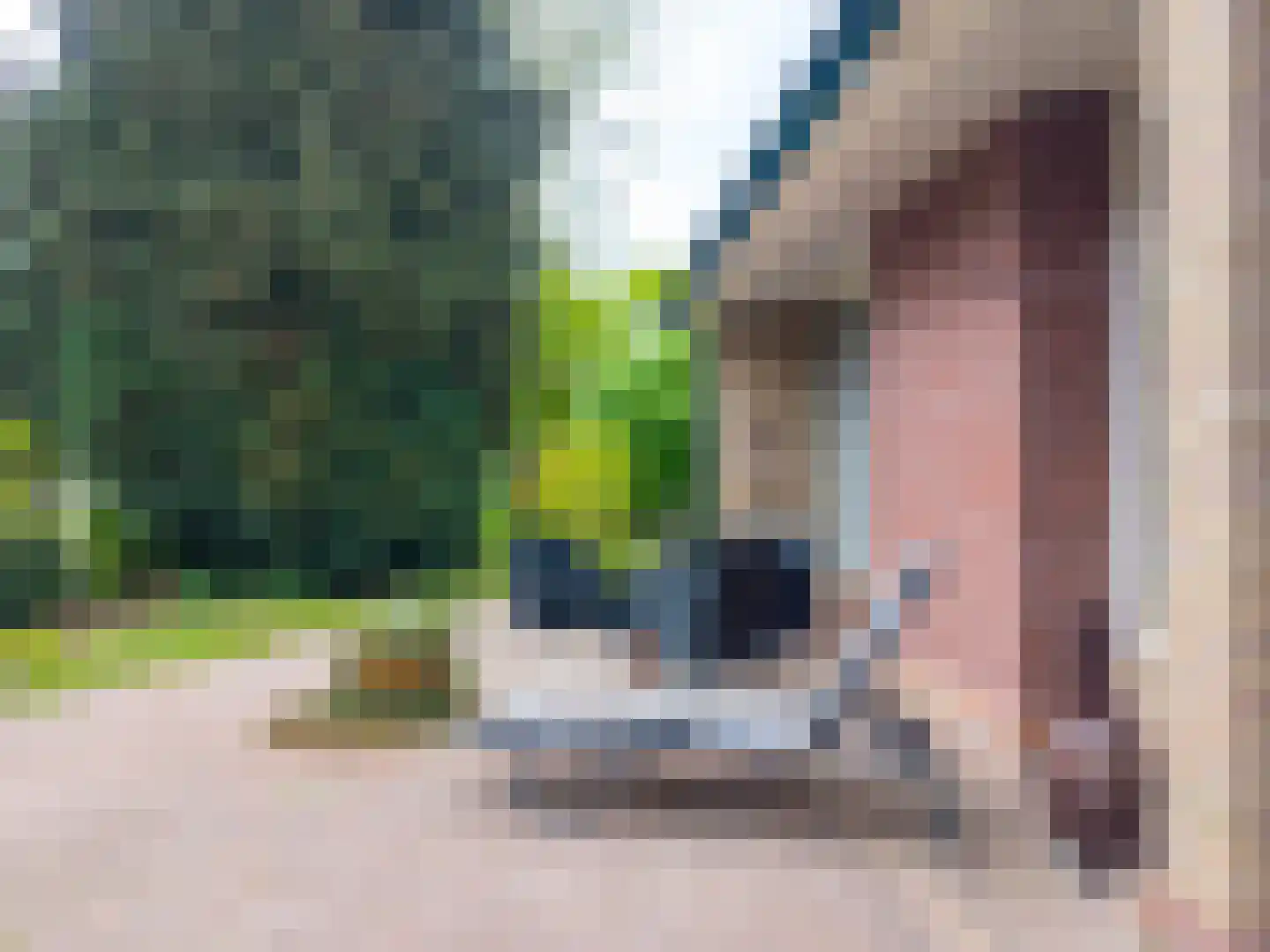 Verlengde Noordenveldweg 2 Vries thumbnail 11