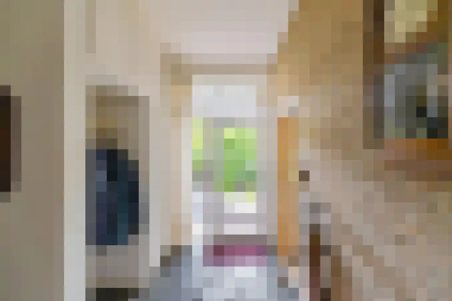 Verlengde Noordenveldweg 2 Vries thumbnail 14