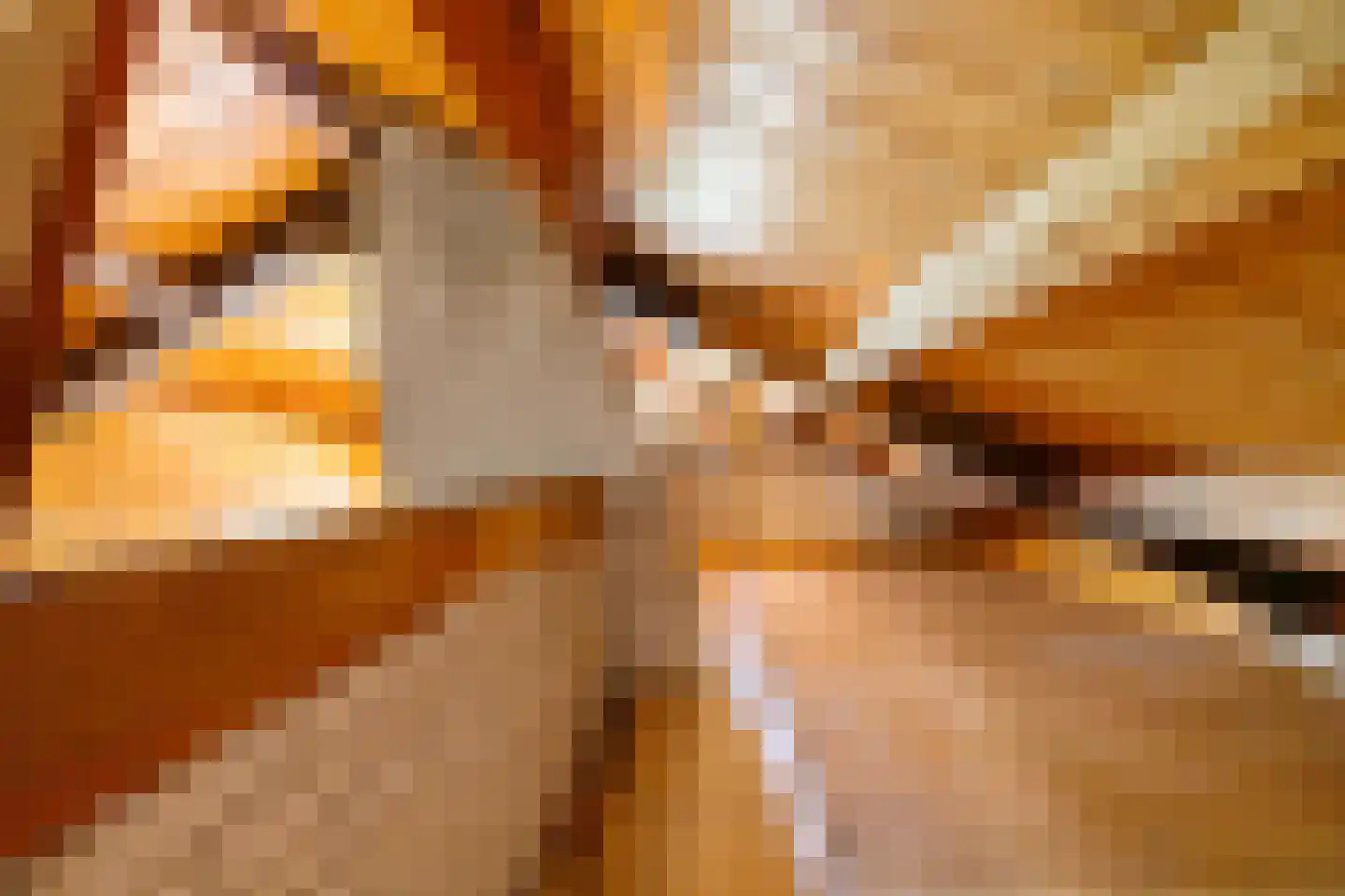 Verlengde Noordenveldweg 2 Vries thumbnail 33